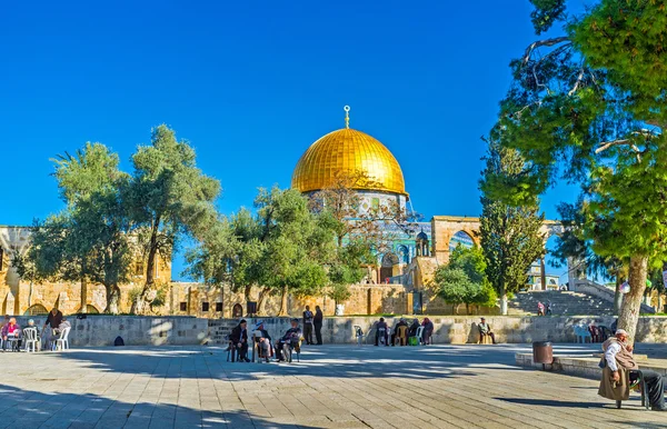 The garden on the Temple Mount