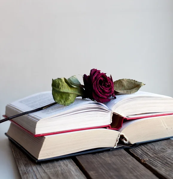 Dried rose laying over an open book