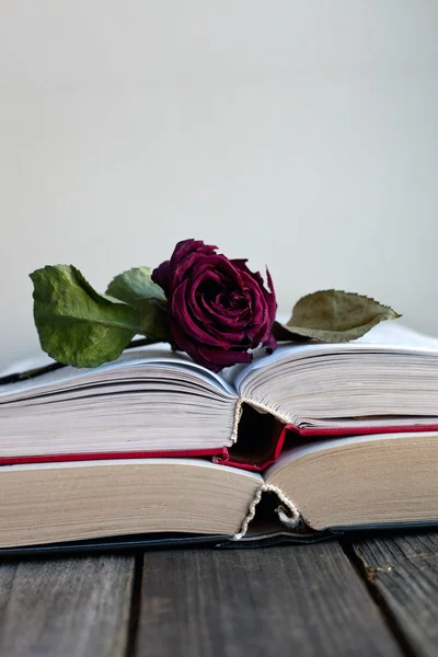 Dried rose laying over an open book