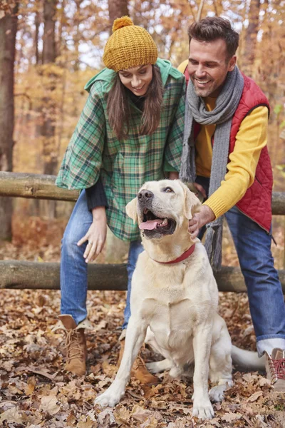 Couple during autumn walk with cute dog