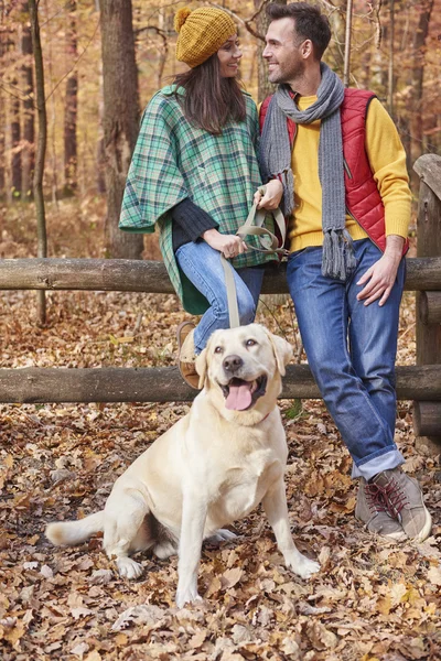 Couple with dog during  autumn walk