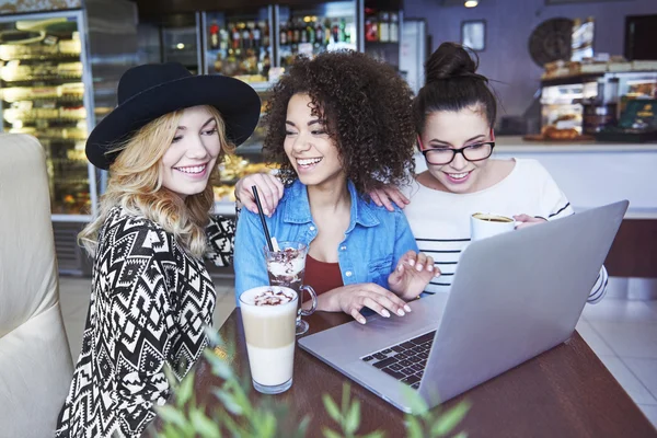 Group of friends using laptop in cafe.