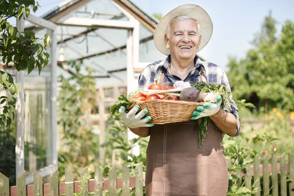 Elderly man with  organic vegetables