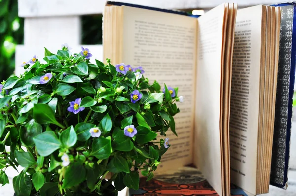 Flower with book