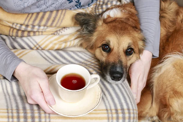 Woman sitting on the sofa with her lovely dog and cup of tea.