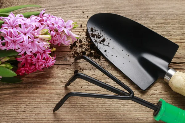 Hyacinth flowers and garden accessories on wood