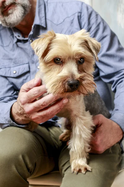 Friends forever: man and his lovely dog