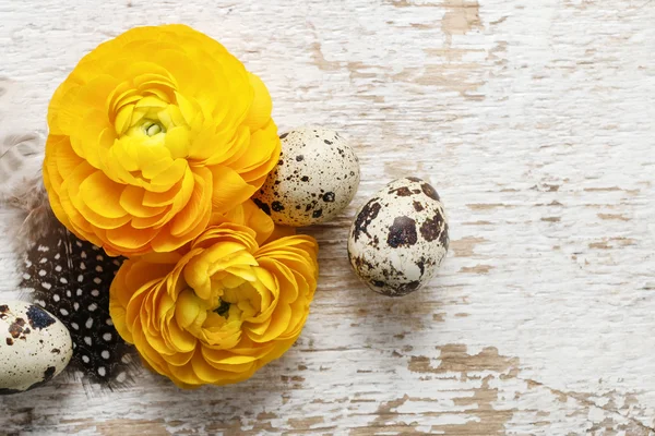 Yellow persian buttercup flowers (ranunculus) on wooden backgrou