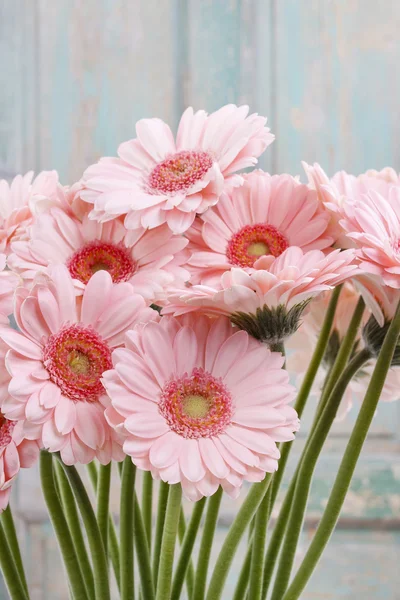 Bouquet of pink gerbera daisies