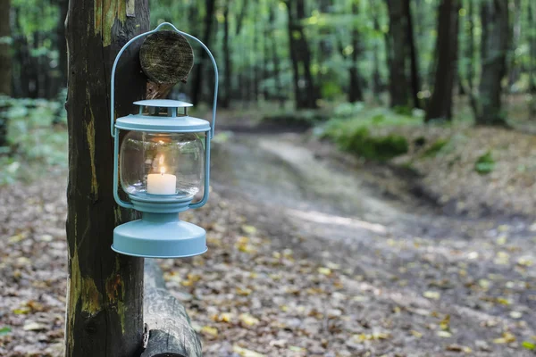 Beautiful lantern in autumn forest.