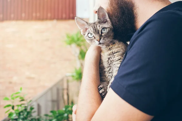A man with a beard is hugging with his lovely devon rex cat