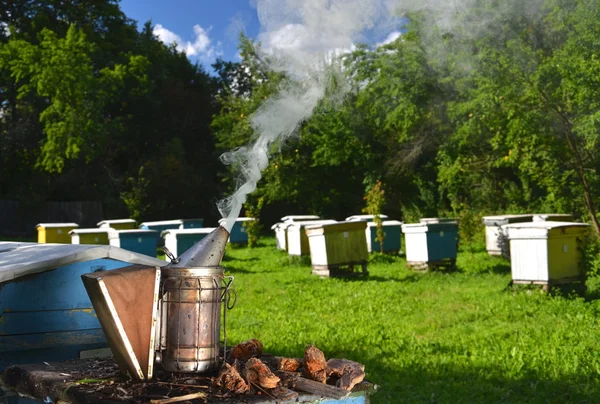 Bee smoker in apiary