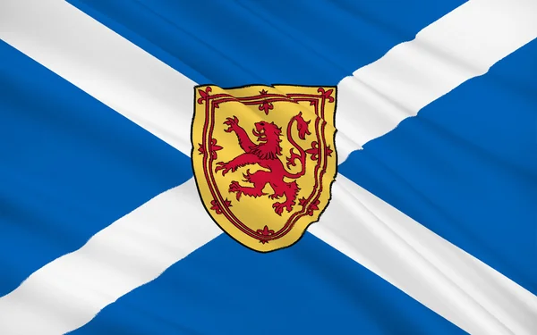 将代表联合王国国旗中代表苏格兰的颜色换成圣