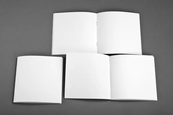 Blank catalog, brochure, magazines, book mock up.