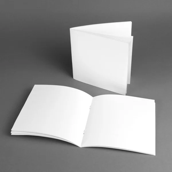 Blank catalog, brochure, magazines, book mock up.