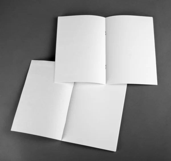 Blank catalog, brochure, magazines, book mock up