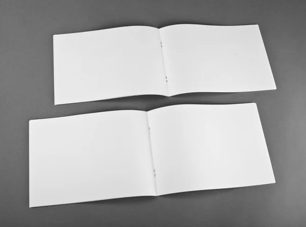 Blank catalog, brochure, magazines, book mock up