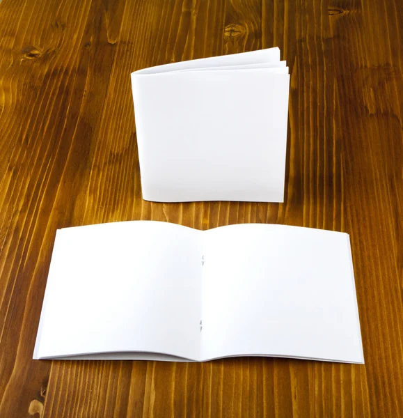 Blank catalog, brochure, book mock up