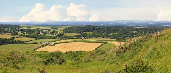 Typical british landscape near lulworth