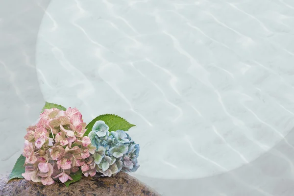 Hydrangea blossoms and wavy background, sympathy design