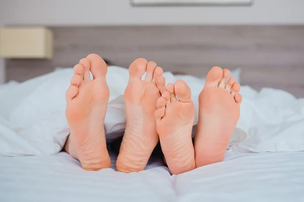 Feet of couple lying in bed under the blanket