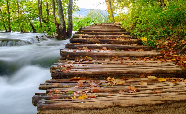 Wood path in the Plitvice national park in autumn