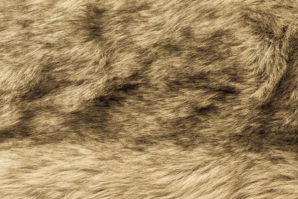 Abstract texture of old fur fabric