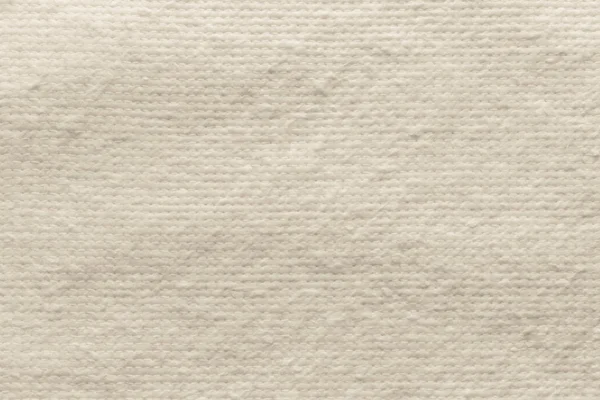 Texture quilted batting of beige color