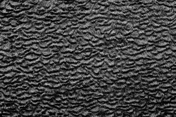 Texture short-haired fur fabric of black color