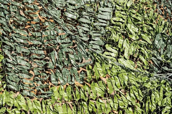 Dense camouflage grid of green color