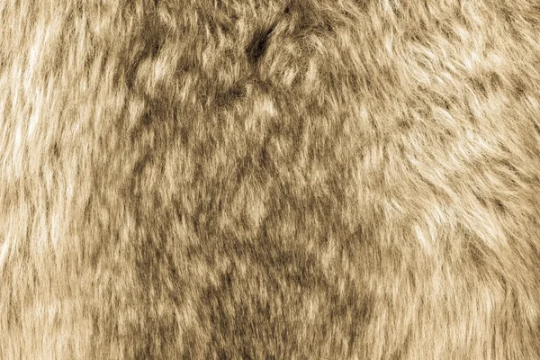 Soft texture of shaggy and fluffy fur