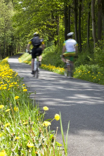 People cycling through countryside