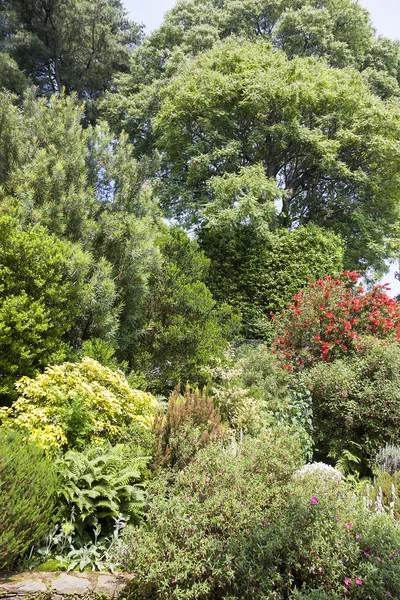 Beautiful Italian Garden