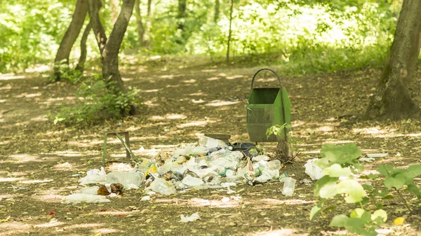 The garbage in the forest