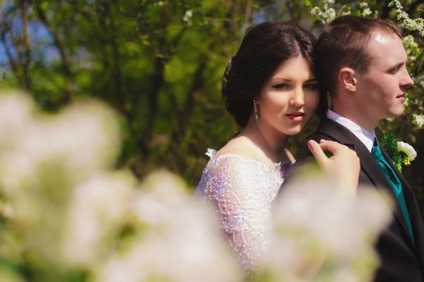 Young bride and groom in a lush garden in the spring. Groom and the bride in a white dress in the garden