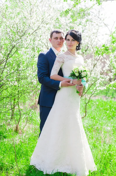 Young bride and groom in the spring in a lush garden. Happy bride and groom in a white dress in the garden