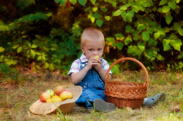 Little boy with a basket of apples and pears in autumn