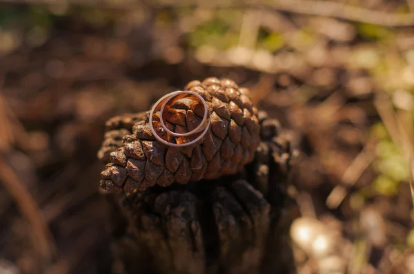 Gold wedding rings in nature