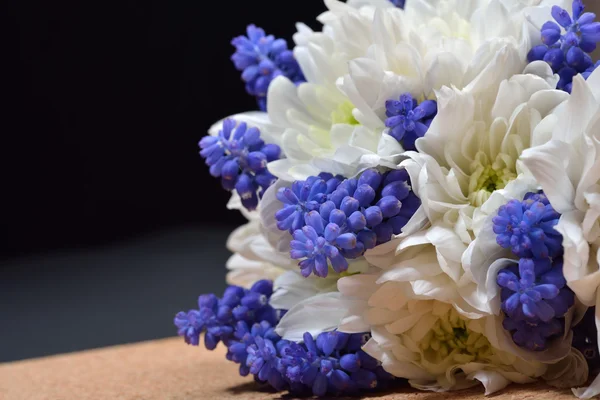 Bouquet of white chrysanthemum and blue grape hyacinth on dark b