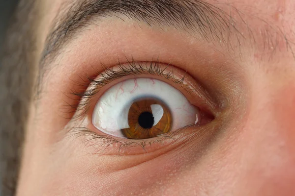 Close up picture of brown human eye. Young man with long eyelash