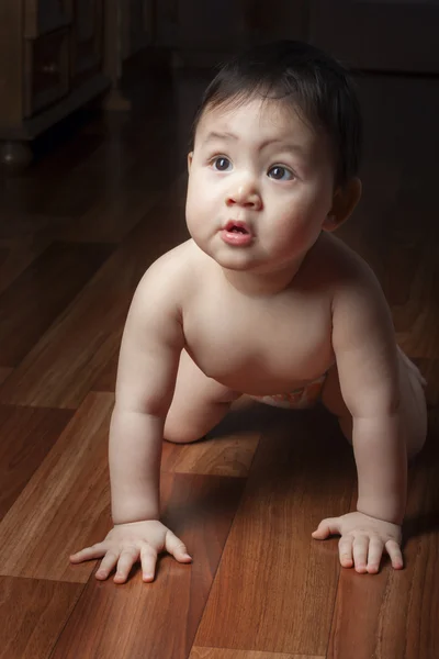 Baby crawls on all fours