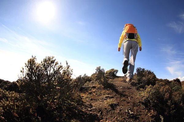 Woman backpacker hiking