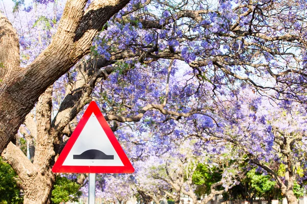 Triangular road sign warning of speed bump against purple jacara