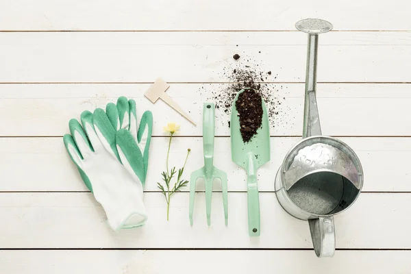 Spring - gardening tools, watering can and gloves on white wood