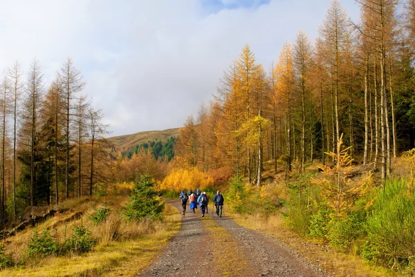 Group of people walking in Scottish Highlands