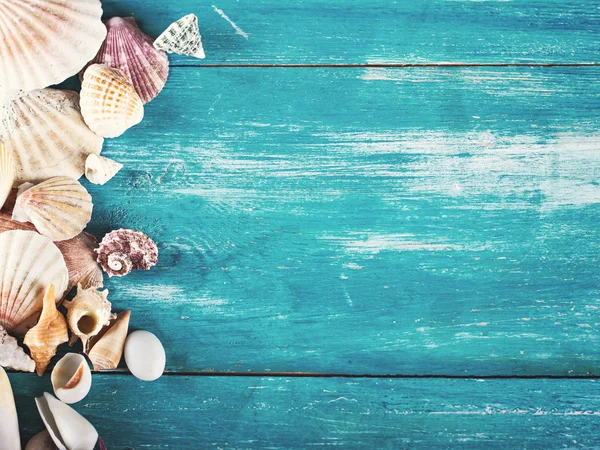 Shells on the old blue wooden boards