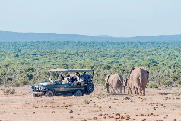 Tourists on a safari vehicle