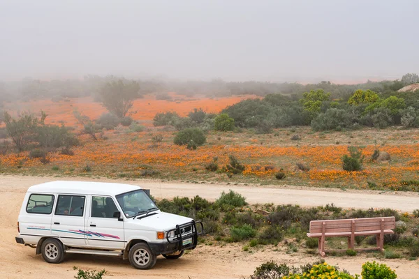 Misty day at the Roof of Namaqualand viewpoint at Skilpad