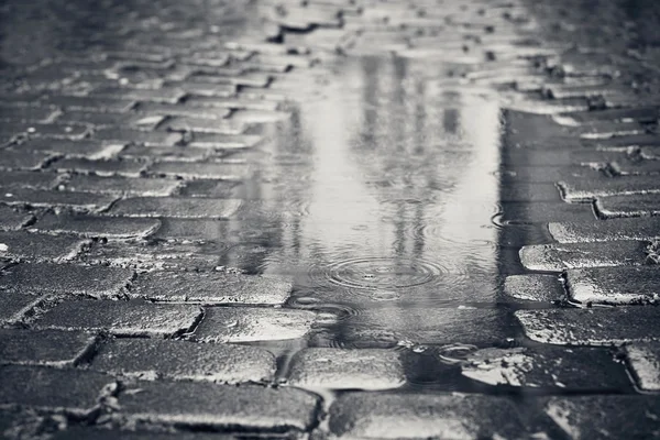 Puddle on the street