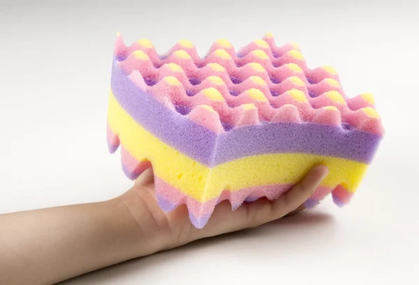 Hand holding a sponge with scrub on a white background in studio